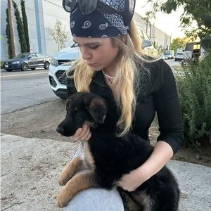 Meet your Posher, Paige